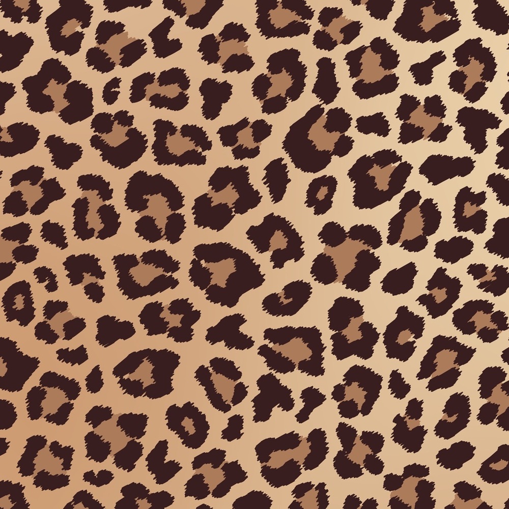 Meet your Posher, Sstephanie